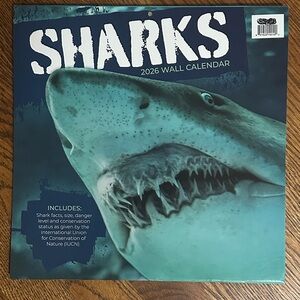 2026 Shark calendar New